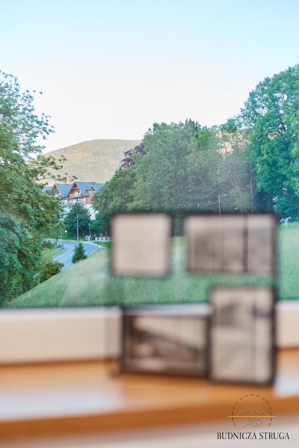 Apartament Budnicza Struga Z Sauna I Parkingiem - 5D Apartamenty Karpacz Exteriér fotografie
